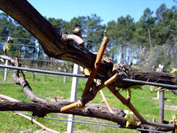Detalle de un acodado