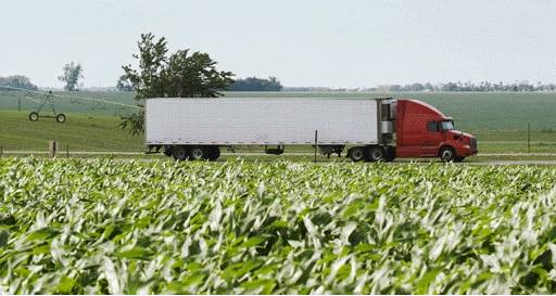 Los organismos patógenos pueden cruzar las fronteras de un país y propagarse a través de los medios de transporte