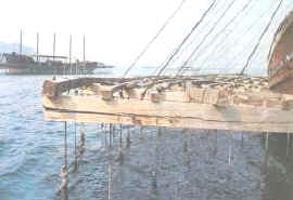 vivero_flot_barco.jpg (9868 bytes)