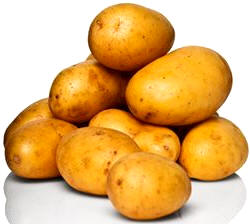 Patata blanca (Solanum tuberosum)