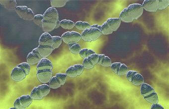 bacterias
