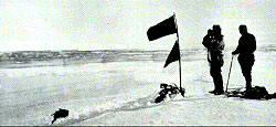 Buscando Nueva Greenland