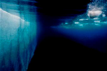 En los fondos marinos del Antártico la carencia de luz influye en la producción biológica