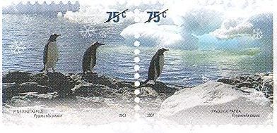 El pingüino papúa [Pygoscelis papua]