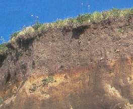 estructura vertical del suelo 