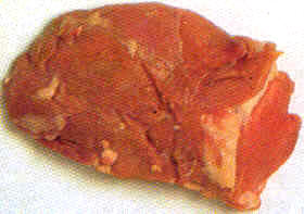 Filete o escalope