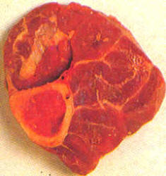 Carnes: morcillos