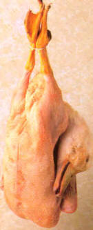 Ánade