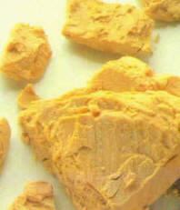 Levadura fresca