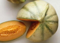 Melón Ogen