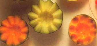 Cuencos de melón