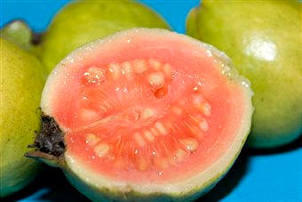 Guavas