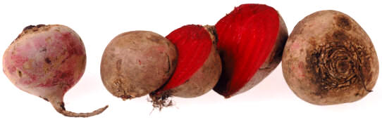 Remolacha