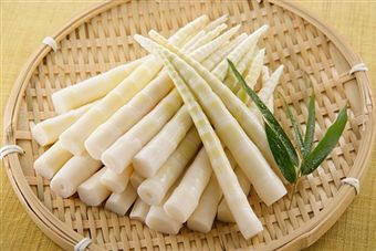 Brotes de bambú