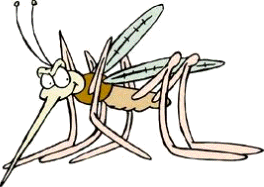 Peligros biológicos - Mosquitos