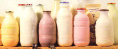 Tipos de leche