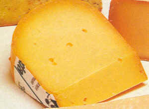 Queso Gouda