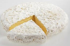 Queso Brie