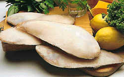 Congelación de pescados