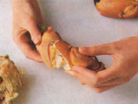 Preparación del buey de mar