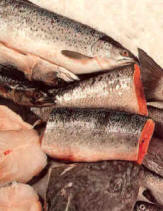 Peces redondos