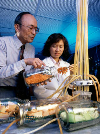 Investigación en tecnología alimentaria