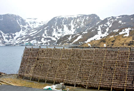 Secadero de bacalao en Noruega