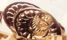 Diferentes tipos de molde