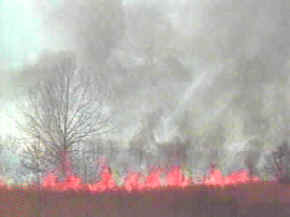 calcinado por un incendio