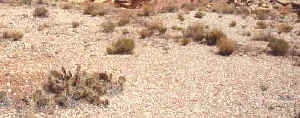 tierras derivadas de las rocas de cuarzo