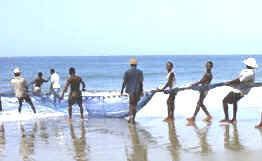 Sierra Leona: La actividad pesquera, practicada según los métodos tradicionales, aporta una parte sustancial de la alimentación