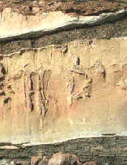 rocas sedimentarias 