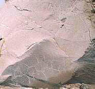 Las rocas de origen magmático constituyen alrededor del 80% de todas las rocas de la corteza terrestre