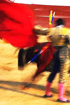 fiesta de los toros 