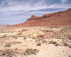 desiertos