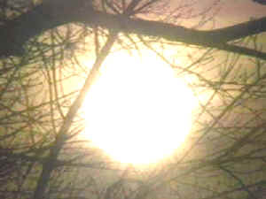 Sol y energía
