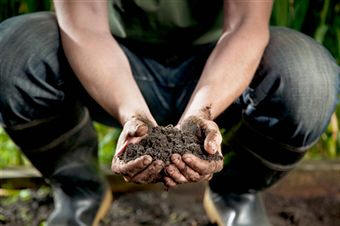 La preparación de la tierra de jardín requiere estudiar su composición
