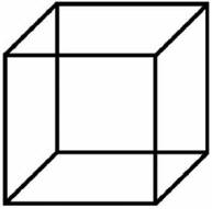 El cubo de Necker, a nivel perceptual, está cambiando constantemente. La imagen retiniana no cambia, pero primero siempre vemos el cubo con la esquina superior izquierda próxima a nosotros y luego como si se alejara. Raramente se percibe como un conjunto de líneas que se interceptan sobre una superficie plana. Existen muchos tipos de figuras reversibles, algunas de ellas se han utilizado para estudiar las señales nerviosas implicadas en la toma de decisiones del cerebro visual, con respecto a determinar si existe algún tipo de conformación que predomine.