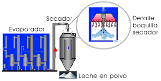 Proceso de evaporación y desecación de la leche en polvo