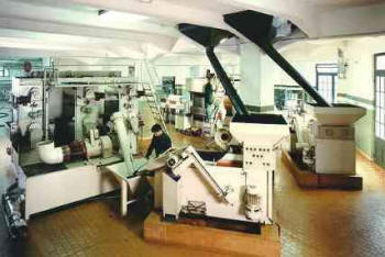 Proceso de molturación y prensado de las aceitunas. Foto: www.aceitedeoliva.com