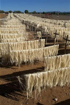 Secado de fibra de Sisal en Madagascar