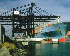 Variados factores, principalmente los transportes, permitieron a un número cada vez mayor de ciudadanos el acceso a bienes de consumo